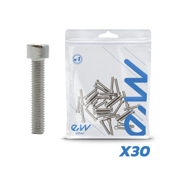 TORNILLO LLANTA MOTOR DUALTRON (NO VALIDO MINI) 30 UNDS